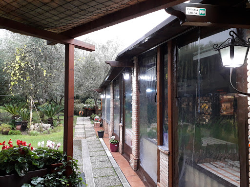 La Locanda Di Decima - Thumbnail