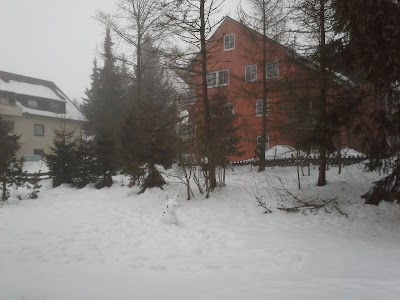 Photos of Hotel Hasselhof