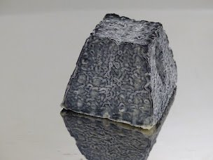 Photo n°6 de Chèvrerie de l'Arbrosserie à Menetou-Salon (Fabricant de fromage)