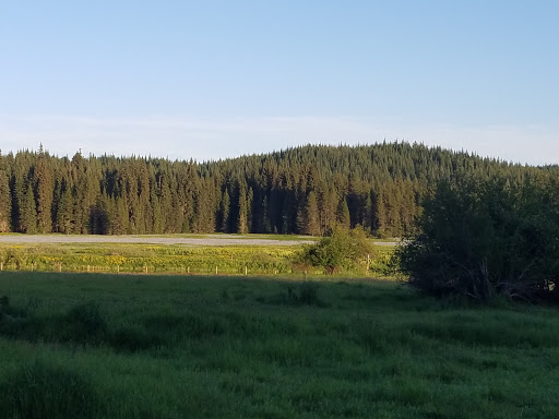 Musselshell Meadows - Visual