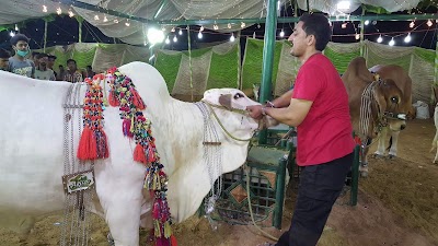 Photos of Al NASs Used Furniture