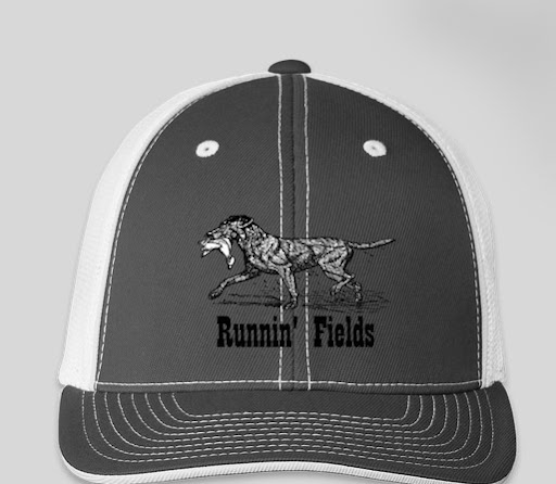 Runnin' Fields - Visual