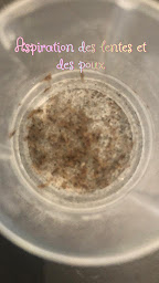 Photo n°23 de Bye Bye Poux Essonne - Institut anti-poux et lentes à Igny (Salon de coiffure)