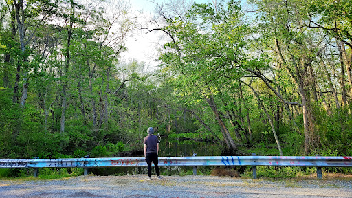 Maggie's Bridge - Visual