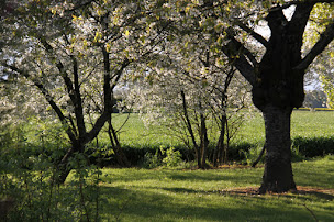 Photo n°15 de Chambres d'hôtes de la Fontaine à Beauchery-Saint-Martin (Chambre d'hôtes)