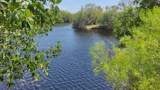 Big Cypress Wildlife Management Area - Stairsteps Unit - Thumbnail