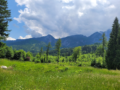 Bären/Der sagenhafte-Bergwald