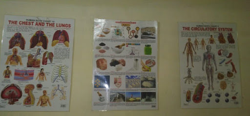 Gallery image 13