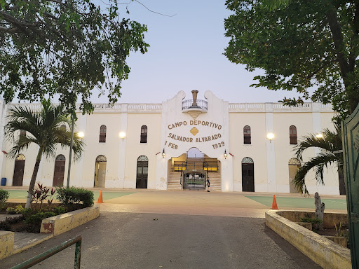 Estadio Gral. Salvador Alvarado