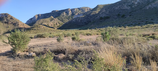 Mazarron - Visual