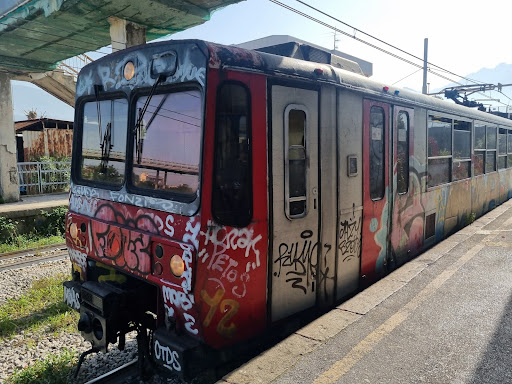 Pioppaino - Visual