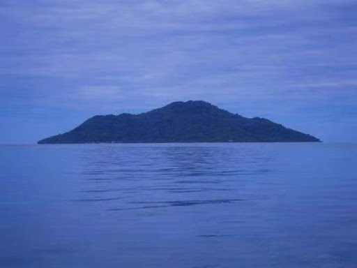 Island Nesian World Logo