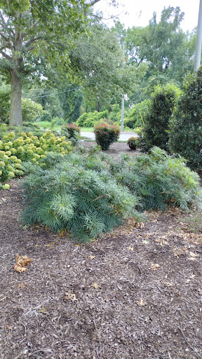 Wade Hampton Veterans Park Gallery - United States