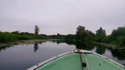 Photos of Alam-Pedja Nature Reserve