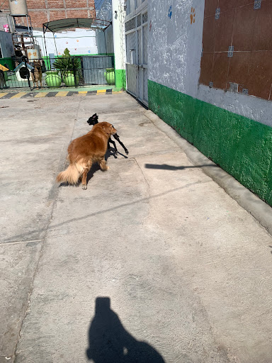 Guau Wow! Hotel Canino - Thumbnail