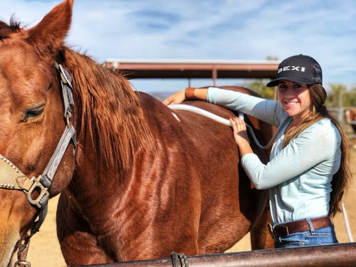 CKC PEMF Equine Therapy - Thumbnail