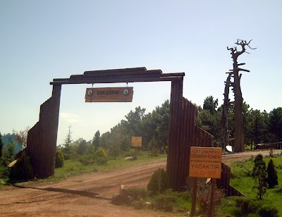 Eskişehir Urban Forest