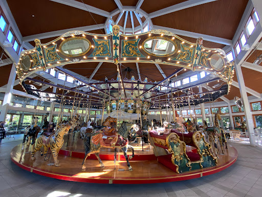 Coolidge Carousel - Visual