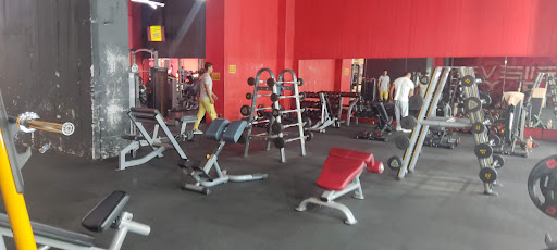 Eleven gym - Thumbnail