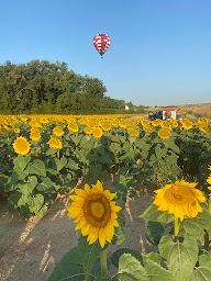 Photo n°13 de Lukkas Montgolfiere à Albi (Agence de vols touristiques en montgolfière)