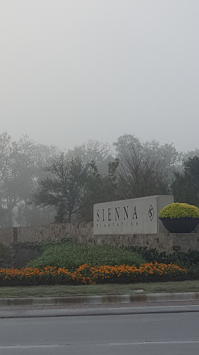 Sienna 65' Series at Village of Sienna Oaks | Shea Homes - Thumbnail