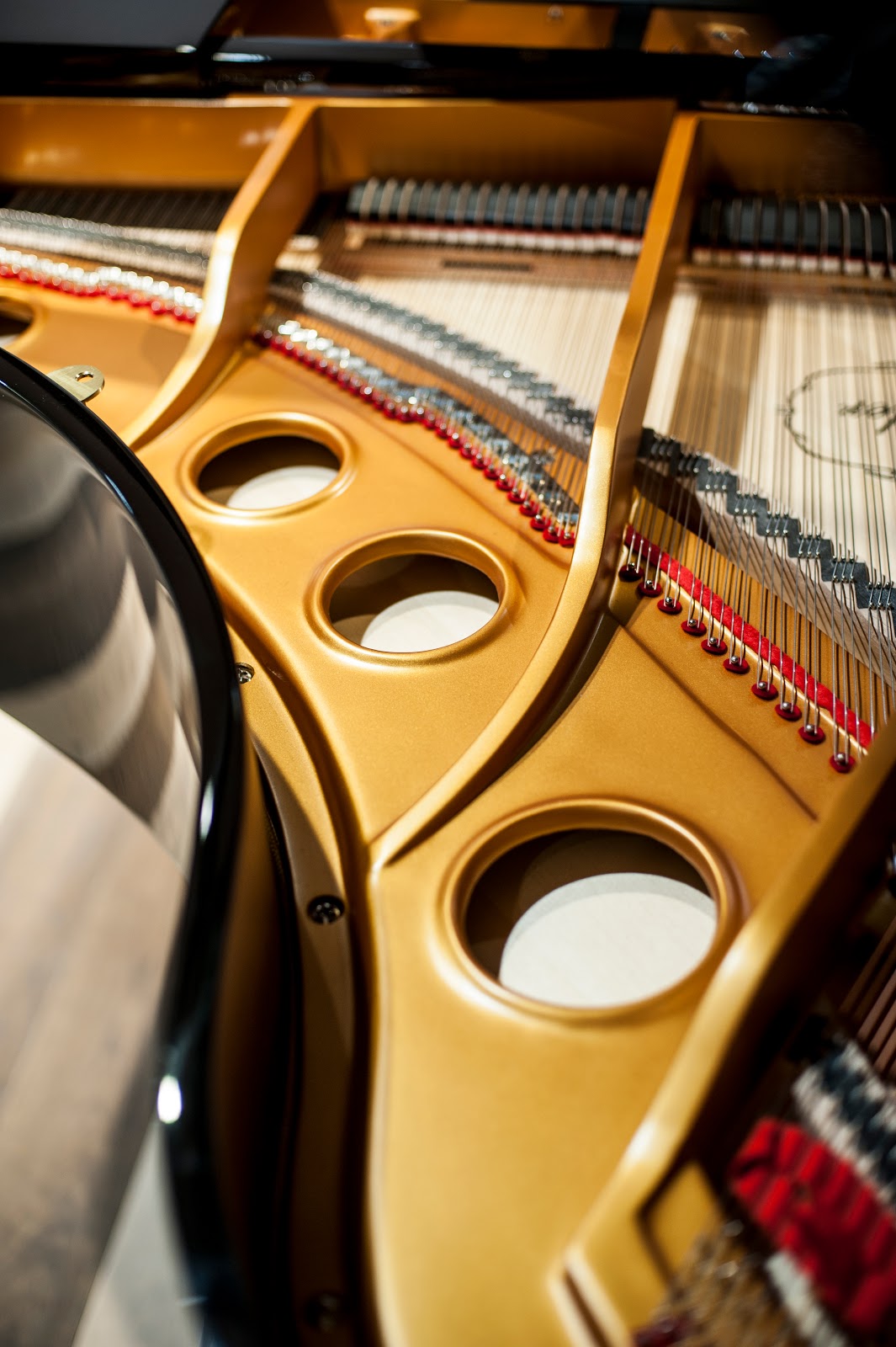 Music Zone - صورة 3