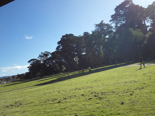 Henderson Park Carpark - Thumbnail