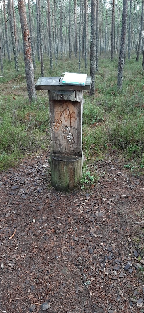 Parika järve matkarada