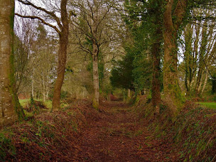 Photo n°8 de La Mare aux Fées à Huelgoat (Chambre d'hôtes)
