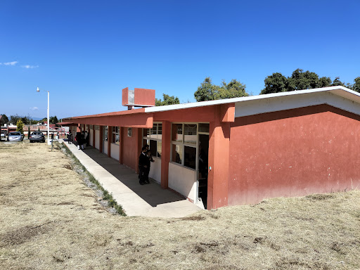 ESCUELA SECUNDARIA TECNICA 141 - Thumbnail