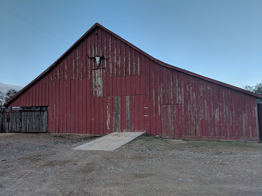 Lambshead Ranch - Visual