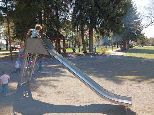 Wiard Park - Visual