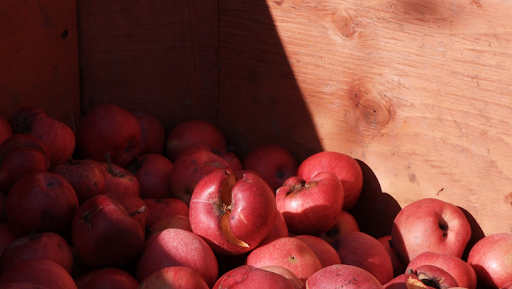FieldBird Farm and Cider