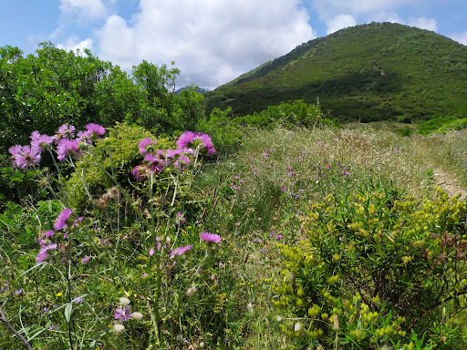 Monte Serra - Visual