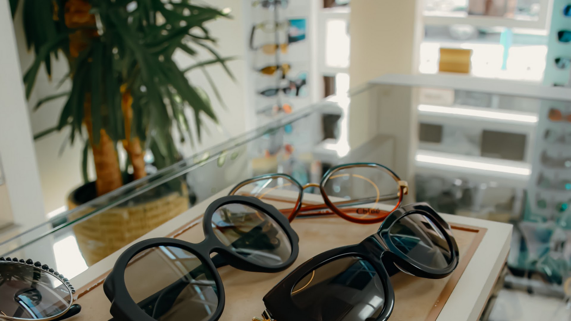 Opticien Optique Riquier Nice - photo 4