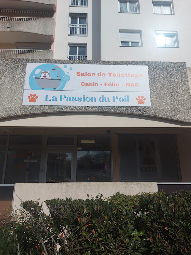 La passion du poil - Thumbnail