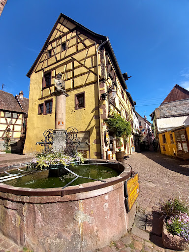 Fontaine de la Sinne - Thumbnail
