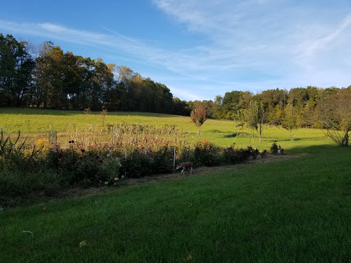 Hidden Hill Farm Greenhouse & Campground - Thumbnail