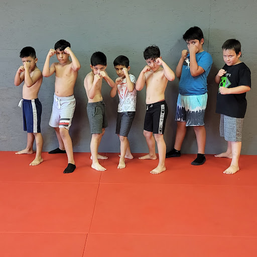 Mutual Combat Sports and fitness - Thumbnail