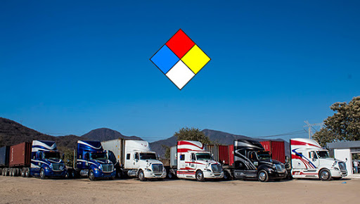 Roadline Mx - Visual