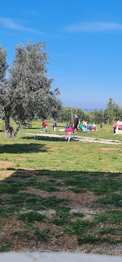 Fattoria dell'Oasi - Thumbnail