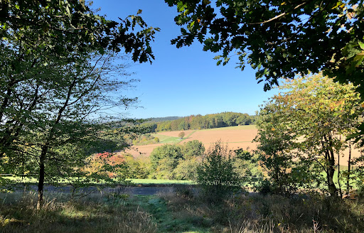 Park Steinbüchel Gallery - Germany