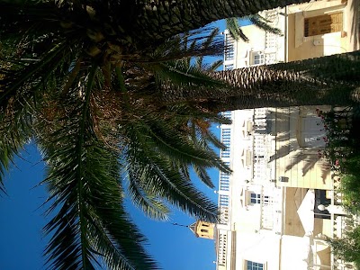 Photos of Hotel Las Navas