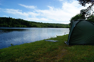 Photo n°4 de Majestic Carp à Bricquebec-en-Cotentin (Agence de voyages)