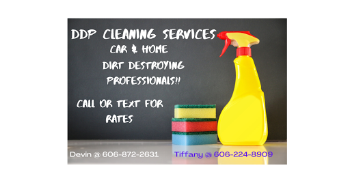DDP Auto Detailing & Home Cleaning