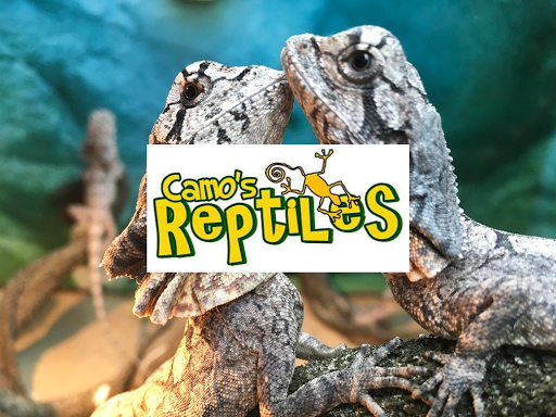 Camo's Reptiles - Thumbnail