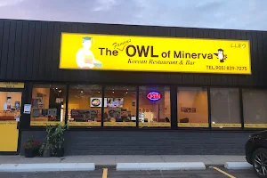 The Owl of Minerva image