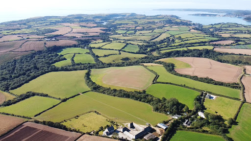 H Tiddy (Property Specialists for St Mawes and The Roseland Peninsula, Cornwall) Gallery - United Kingdom