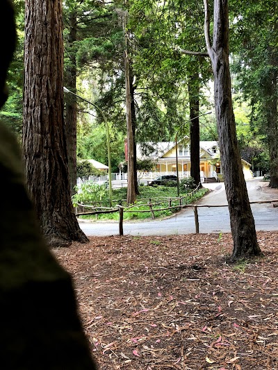 Stern Grove Concert Meadow