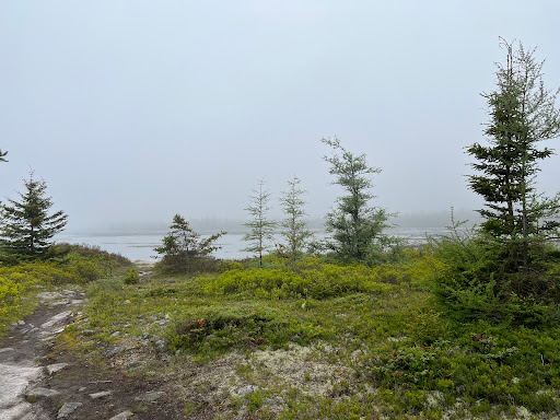 Hollingsworth Trail Parking - Thumbnail